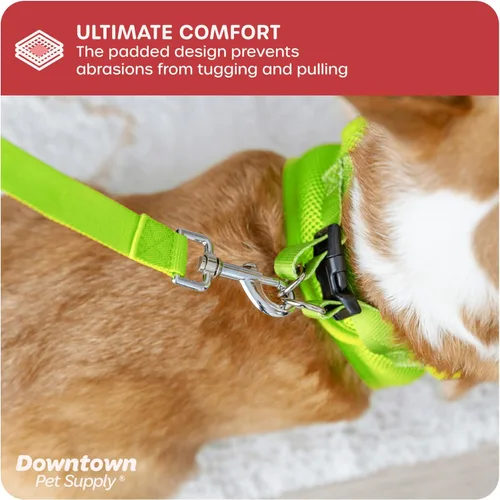 Vista 6 de Downtown Pet Supply Arnés para perro con taza de té para perros y gatos, sin tirones, talla XXS, amarillo atómico, arnés ajustable con tela de malla