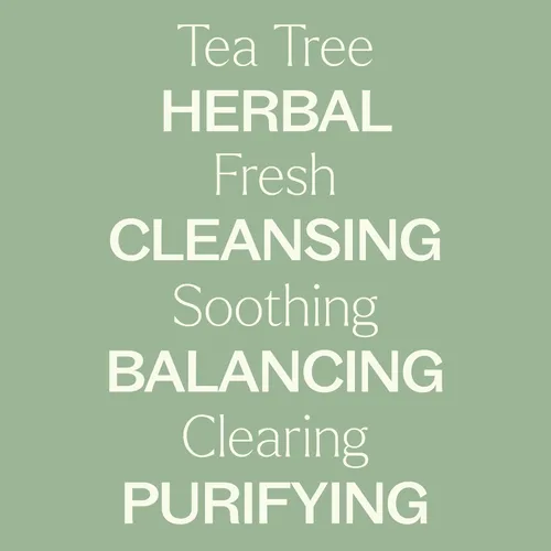 Vista 4 de Plant Therapy Árbol de té (Melaleuca) Hydrosol 4 oz subproducto de aceites esenciales