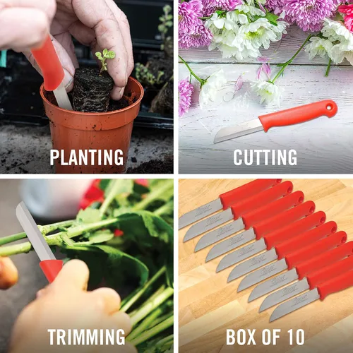 Vista 3 de Clauss Cuchillos florales rectos de hoja fija, viene en una caja de 10