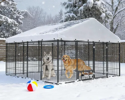 Perrera grande de 10 x 10 x 6 pies para perros grandes – Perrera resistente al aire libre con techo, perreras cubiertas con puerta de alimentación y