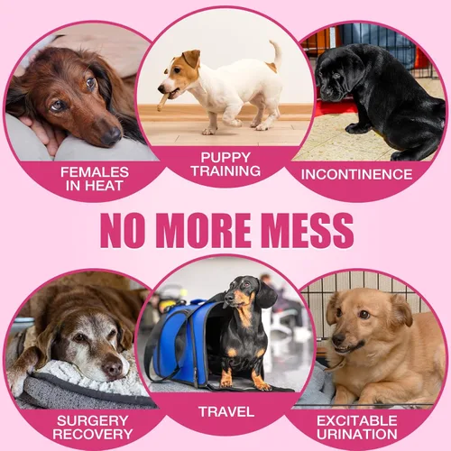 Vista 5 de Dono Pañales desechables para perras, pañales súper absorbentes para perros, con tecnología de gel de secado rápido, a prueba de fugas, ajuste