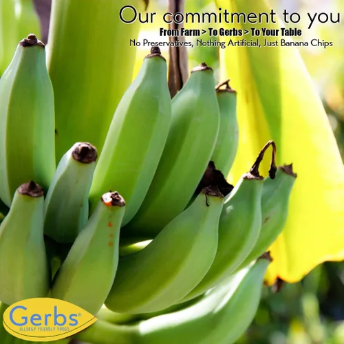 Vista 6 de Frutas secas GERBS, Top 14 libres de alergia alimentaria, sin sulfuro, sin conservantes, sin OMG, vegano