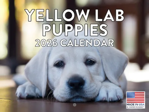 Vista 200 de Calendario de pared mensual 2025 Great Dane de 12 meses, fabricado en Estados Unidos
