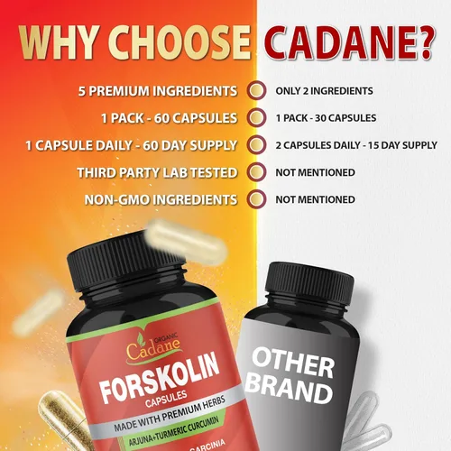 Vista 7 de Forskolina Suplementos Cápsulas con cúrcuma curcumina, Arjuna, Garcinia Cambogia, Té Verde - 60 Cápsulas