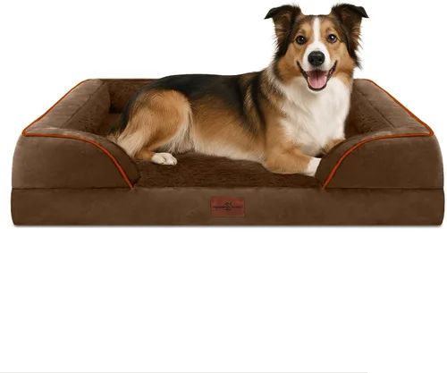 Vista 138 de Comfort Expression - Cama ortopédica para perros pequeños, 20 x 14 pulgadas, cama impermeable y de apoyo de espuma con cojines removibles, sofá