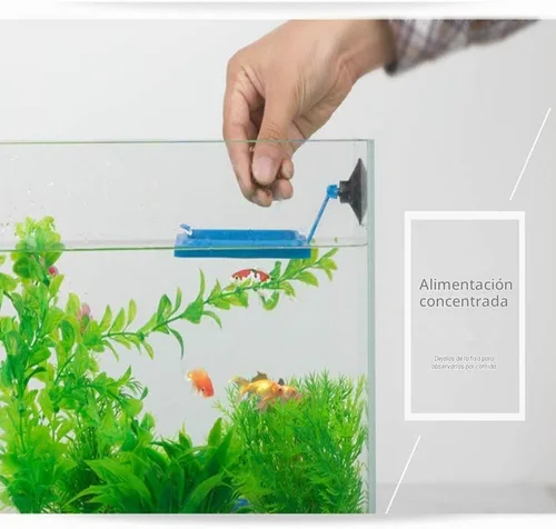 Vista 4 de Juego de 2 anillos de alimentación para peces, alimentador de alimentos para peces + tira de termómetro, decoración de tanques, accesorios de tanque