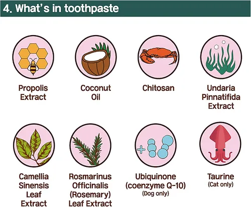 Vista 5 de Kit de cepillo de dientes y pasta de dientes para gatos, gel dental sin sabor para gatos, cepillo de dedos y mango para el cuidado bucal diario