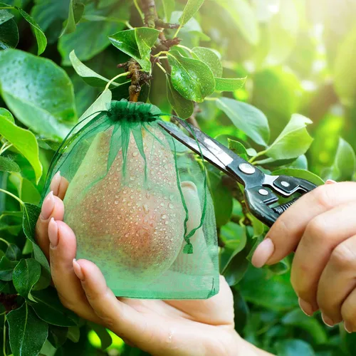 Vista 5 de 100 bolsas de protección de frutas, bolsas de red de frutas para árboles frutales, cubierta de jardín frutal, bolsa de malla de 5 x 7 pulgadas