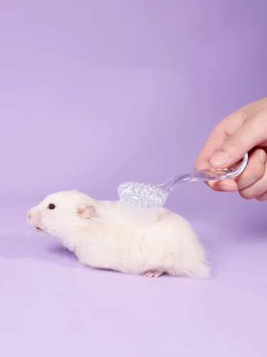 Vista 8 de Paquete de 3 cepillos de aseo de animales pequeños, cepillo de pelo con tapa, cerdas de limpieza suaves para hámster, cobaya, conejo, chinchilla
