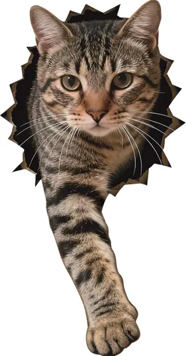 Vista 17 de FLFK 55 calcomanías de pared de flores de cerezo para despegar y pegar, calcomanías de pared para guardería, sala de estar, dormitorio, habitación