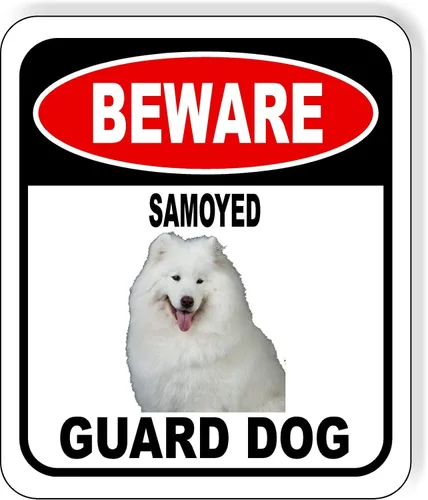 Vista 23 de BEWARE BASSETT HOUND GUARD DOG - Letrero compuesto de aluminio para exteriores, 8.5 x 10 pulgadas