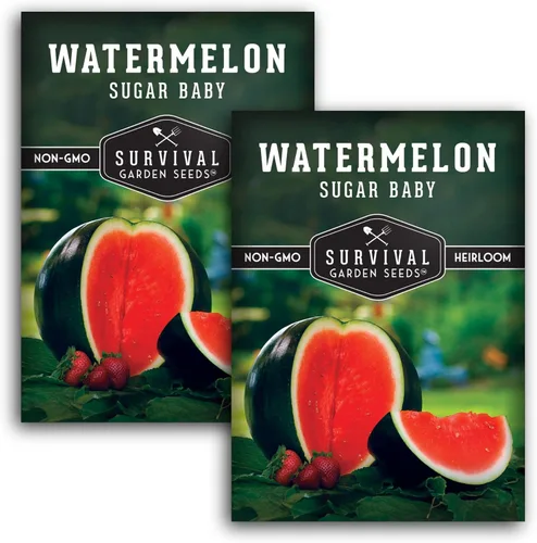 Vista 10 de Semillas de Jardín de Supervivencia - Semillas de Sandía Sugar Baby Cultive Pequeños Melones Redonditos de Nevera en Casa - Semillas Autóctonas