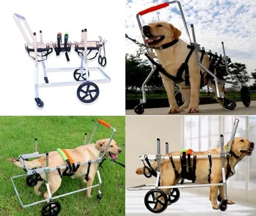 Vista 2 de 4-Wheel Dog Wheelchair for Small Medium Large Breeds, Adjustable Pet Mobility Aid for Disabled Dogs, Full Support Leg Braces, Ideal for XS Size Pets