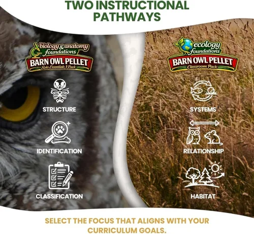 Vista 4 de NW Barn - Kit de disección de excrementos de búho (incluye instrumental e ilustraciones educativas)
