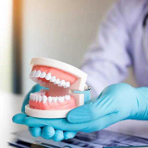 Vista 6 de Modelo de dientes dentales, Typodont estándar articulado para adultos, demostración completa de modelo de boca de dientes para enseñanza dental