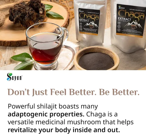Vista 8 de Polvo extracto hongo chaga siberiano. Súper antioxidante, ayuda al sistema inmune., 2 onza, 1 Extracto de Chaga