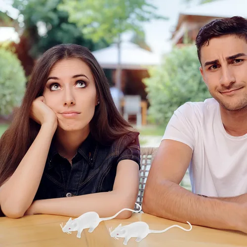 Vista 6 de 12 Pcs Realistic Mouse Prank Lifelike Mouse Interactive Mice Creepy Fake Animal for Party Props - Mice Figure Halloween Decorations