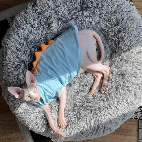 Vista 4 de Dinosaur Sphynx - Ropa para gatos sin pelo, lindas camisas de algodón de verano, disfraz de gato, ropa para mascotas, camisetas de gatito, ropa