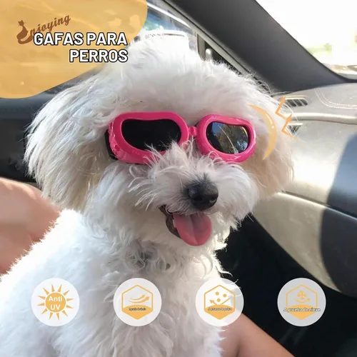 Vista 4 de Antiparras anteojos de sol para gatos o perros pequeños, Negro Negro clásico