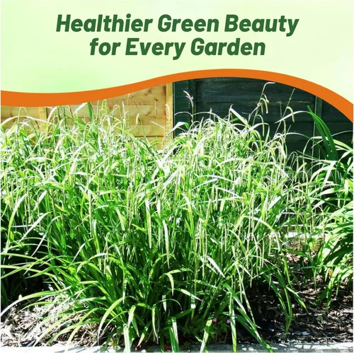 Vista 4 de Outsidepride - 100 semillas de la hierba ornamental perenne cárice llorón (Carex pendula [Fresh Look]) para sembrar