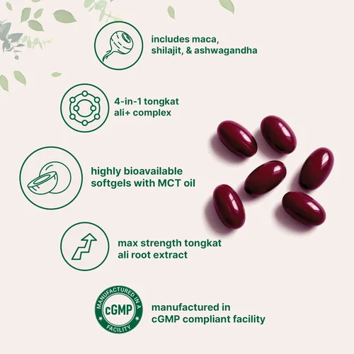 Vista 3 de Tongkat Ali+ para hombres con maca, shilajit y ashwagandha 240 cápsulas blandas con aceite MCT para una mejor absorción Extracto de Eurycoma