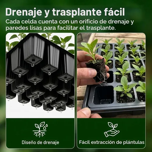 Vista 6 de Gardzen Juego de 5 bandejas de inicio de semillas, bandejas duraderas para germinación de plantas con cúpulas y bases ventiladas de humedad, ideal