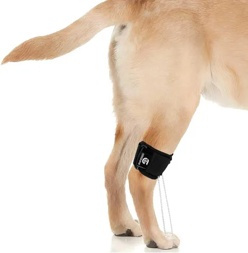 Soporte de pierna trasera para perro