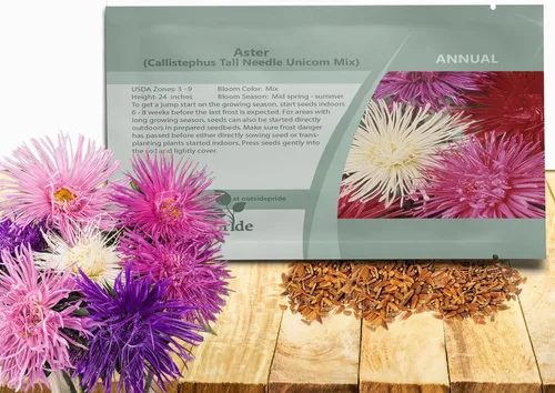 Outsidepride 1000 semillas anuales Callistephus Tall Needle Unicom Flower Seed Mix para plantar