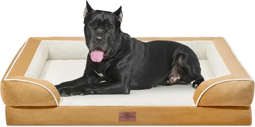 Vista 14 de Comfort Expression - Cama ortopédica para perros pequeños, 20 x 14 pulgadas, cama impermeable y de apoyo de espuma con cojines removibles, sofá