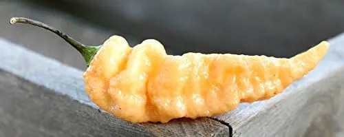 Vista 2 de Peach Bhut Jolokia Heirloom Ghost Pepper Paquete de semillas prémium + más