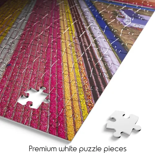 Vista 3 de Buffalo Games - Blanc - Kristina Makeeva - Infinity Fields of the Netherlands - Rompecabezas de 1000 piezas para adultos - Rompecabezas desafiante