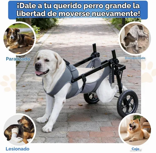 Vista 8 de Snugrance Silla de ruedas grande para perros para patas traseras, carrito