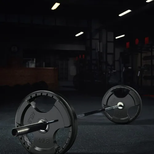 Vista 45 de RitFit Weight Plates for Barbell, 2-Inch Olympic Rubber Grip Plates for Weightlifting and Strength Training in Home & Gym, Single, Pair and Sets