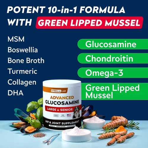 Vista 4 de STRELLALAB Advanced Glucosamine Hip & Joint Supplement for Senior Dogs - Green Lipped Mussel & Collagen - Hip & Joint Pain Relief - Large & Small