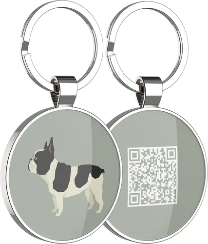 Vista 20 de Etiquetas para perros con código QR, etiquetas de perro personalizadas para mascotas, etiquetas de identificación de perro, etiquetas de nombre