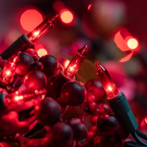 Vista 3 de YULETIME 200 luces rojas de Navidad, paquete de 2 hebras de 21 pies, 100 unidades, con certificación UL, mini tira de luces incandescentes