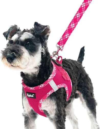 Vista 13 de Pupteck Juego de arnés y correa para perros pequeños y medianos, cachorros, gatos, sin tirones, de malla suave, chaleco reflectante por la noche
