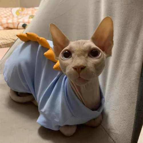 Vista 2 de Dinosaur Sphynx - Ropa para gatos sin pelo, lindas camisas de algodón de verano, disfraz de gato, ropa para mascotas, camisetas de gatito, ropa