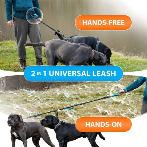 Vista 7 de SparklyPets Correa doble manos libres para perros grandes, sin tirones, sin enredos, asas acolchadas, costuras reflectantes