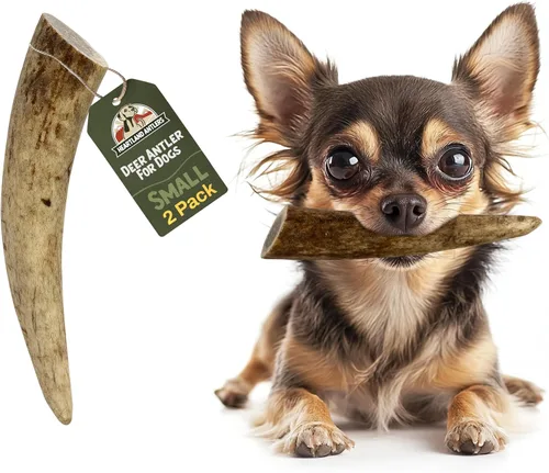 Heartland - Astas de ciervo para perros - Masticables diarios para el cuidado dental para masticadores agresivos para reducir la placa y prevenir el