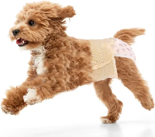 Ambreview Pañales para Perras Hembras, Pañales Desechables para Perras Hembras con Cintura Elástica, Pañales Tipo Pull-Up para Cachorros para