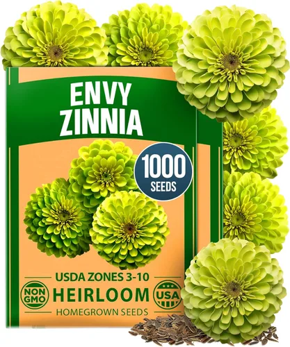 Vista 20 de Bóveda de 10 semillas de hierbas culinarias - Semillas criollas y sin transgénicos – Más de 3000 semillas para plantar en jardín de hierbas exterior