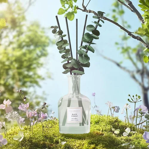 Vista 3 de COCORRÍNA Difusor de Aroma con Varillas del Bosque Negro – 200 ml de Aceite Esencial con Varillas y Ramas Secas de Eucalipto, Fragancia