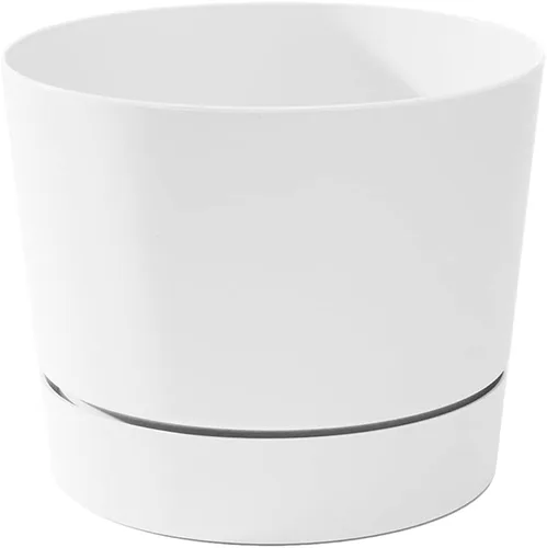 Vista 15 de Root & Vessel Majestic Mid-Century Modern - Maceta cilíndrica de perfil bajo, color negro mate, 4.5 pulgadas