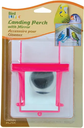 Vista 6 de Penn-Plax Bañera para pájaros con espejo – Accesorio atractivo para bañarse, jugar y cuidar las plumas – Fácil de limpiar e instalar – Ideal