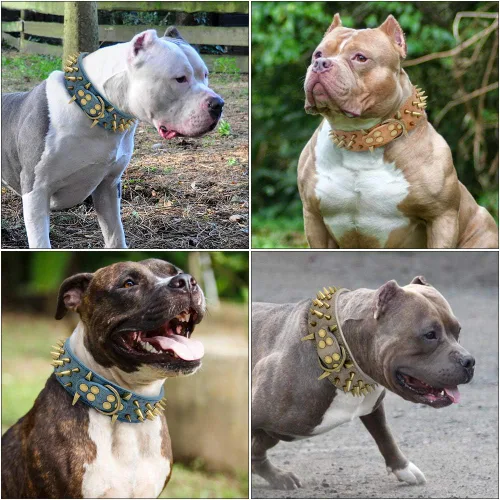 Vista 7 de Collar de perro de cuero con púas de 2 pulgadas, remache afilado antimordidas para perros Pit Bull medianos y grandes, cuello marrón para 14-19