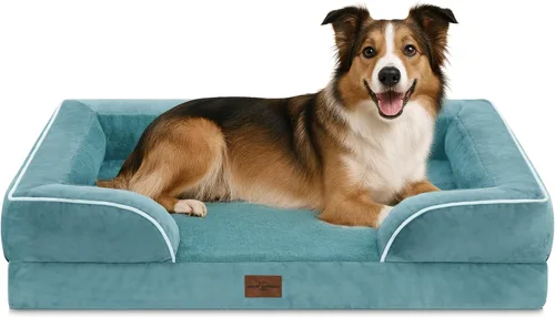 Vista 253 de Comfort Expression - Cama ortopédica para perros pequeños, 20 x 14 pulgadas, cama impermeable y de apoyo de espuma con cojines removibles, sofá