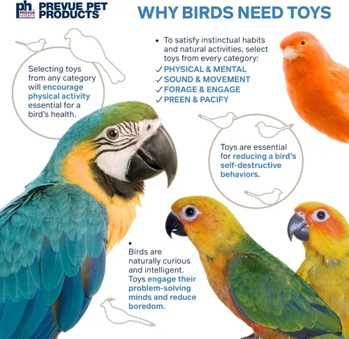 Vista 6 de Prevue Pet Products Takeout - Juguete para pájaros de forraje y participación juguetones 60245