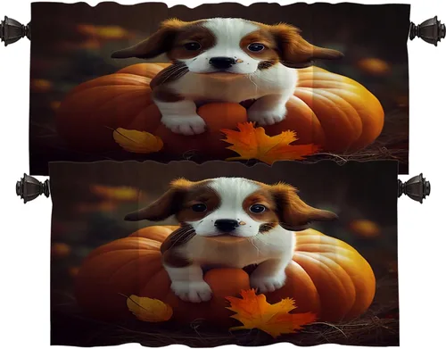 Vista 101 de Shrahala Cortinas blancas S inspiradoras para ventanas de cocina, cortinas negras con palabras cristianas para cafetería, cortinas opacas