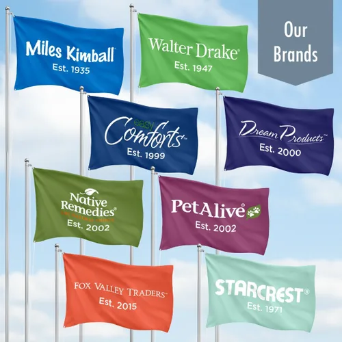 Vista 3 de Mysterious Air Fern, juego de 2 – Planta de interior libre de agua y tierra